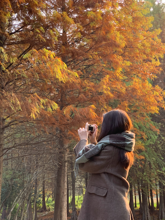活着 封面
